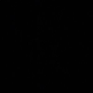 Meet your Posher, Landon